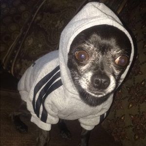 Meet your Posher, Ana